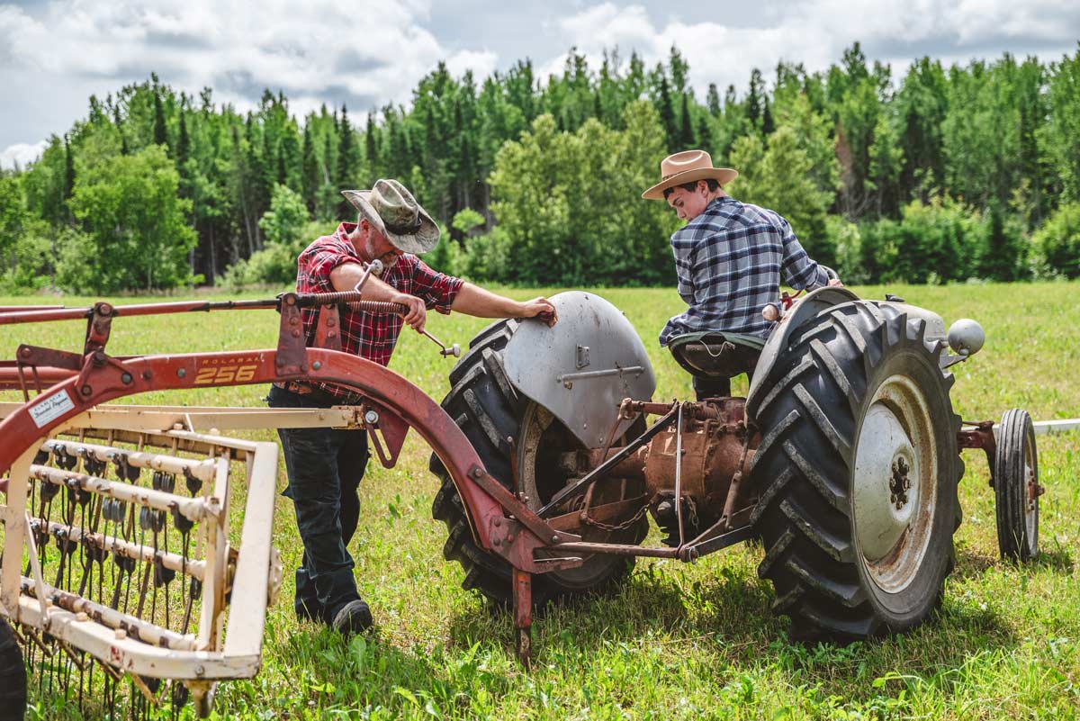 Tracteur dans un champ